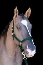 Silvabel Double Stitched Halter