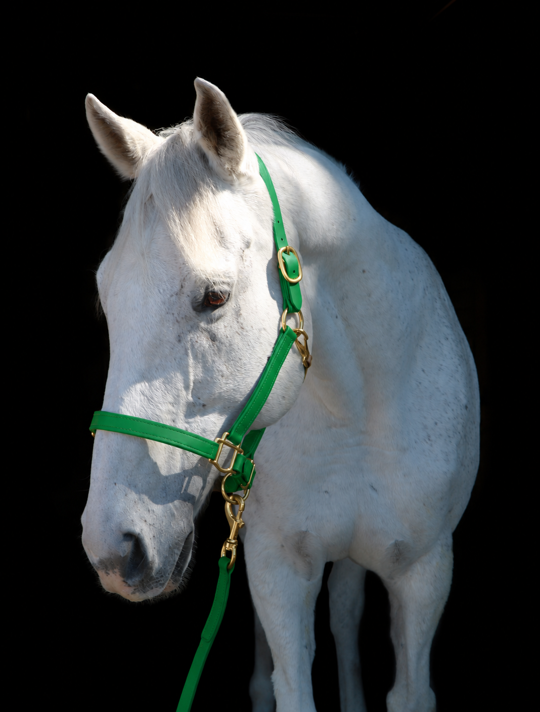 Silvabel Double Stitched Halter