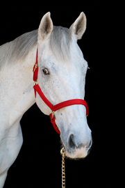 Silvabel Double Stitched Halter