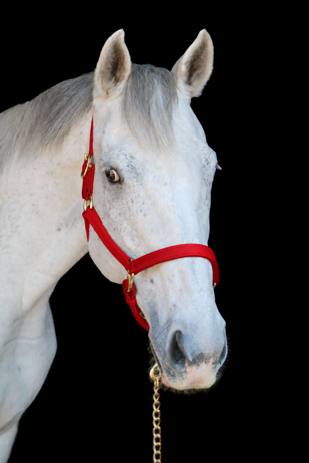 Silvabel Double Stitched Halter