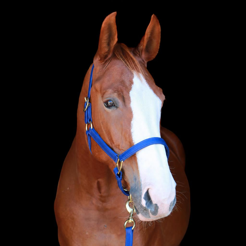 Silvabel Double Stitched Halter
