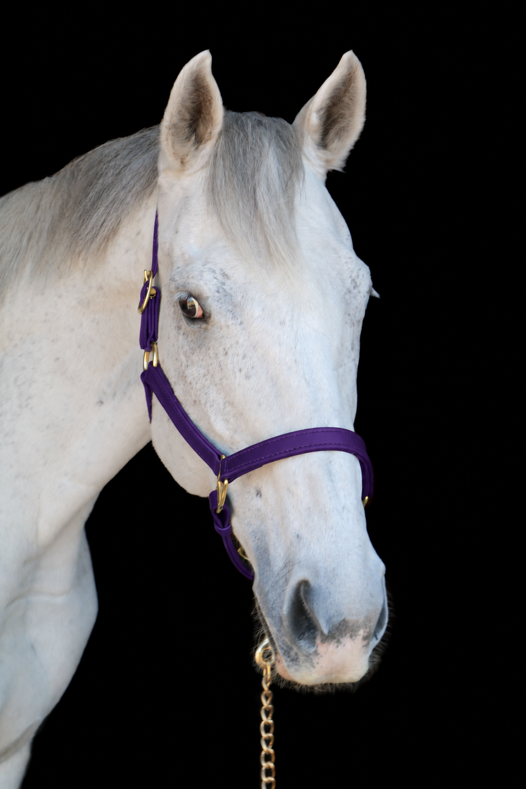 Silvabel Double Stitched Halter