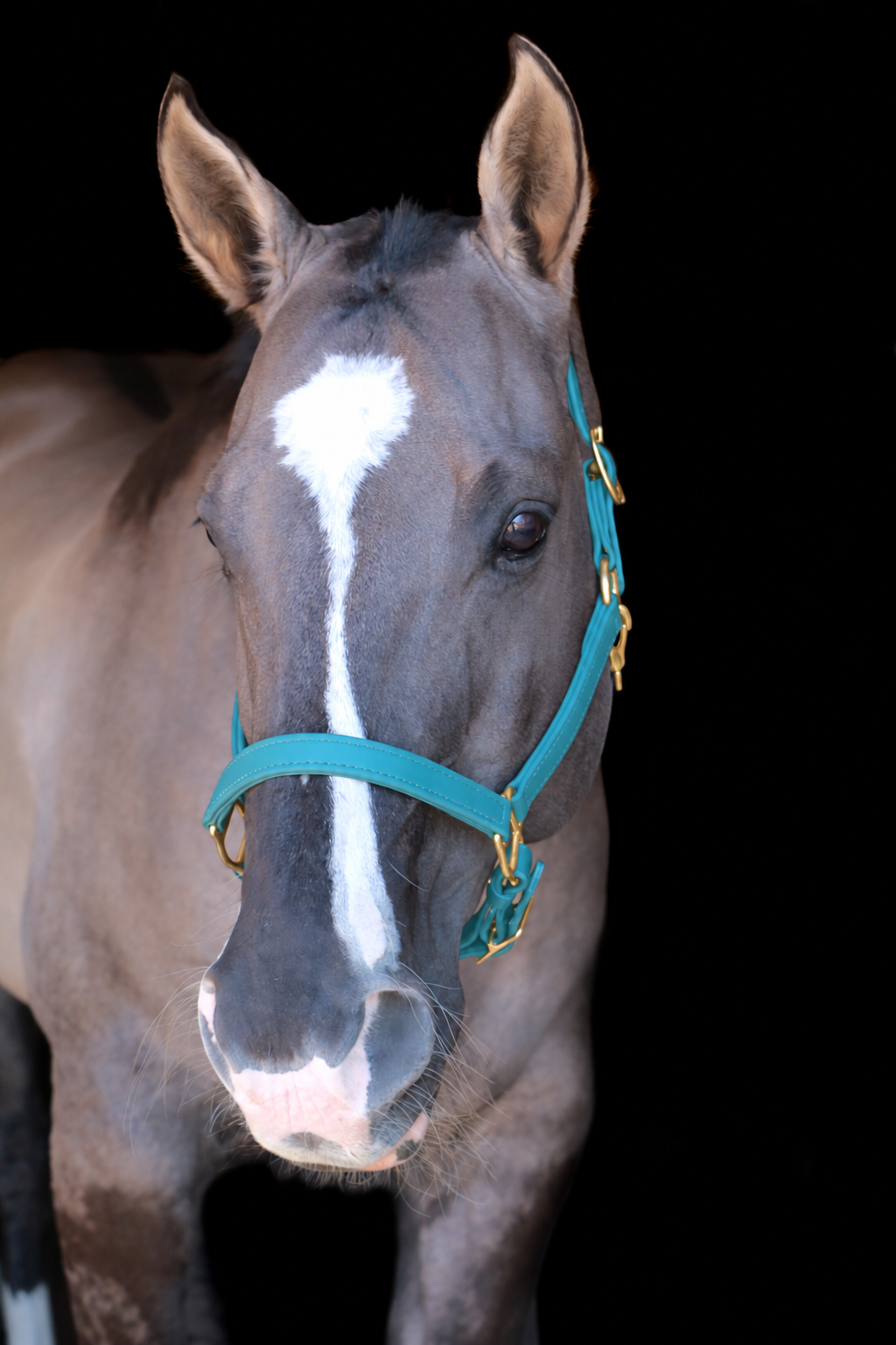 Silvabel Double Stitched Halter
