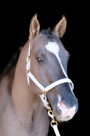 Silvabel Double Stitched Halter