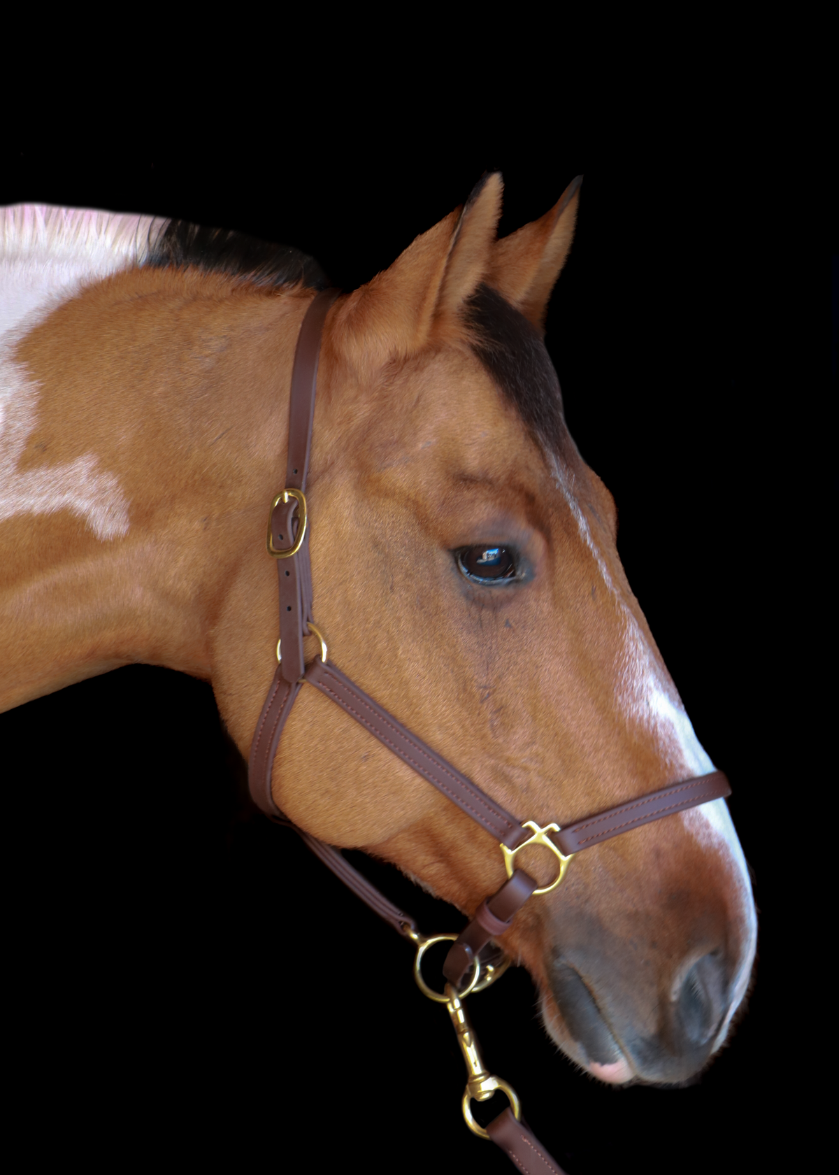 Silvabel Slim Stitched Halter