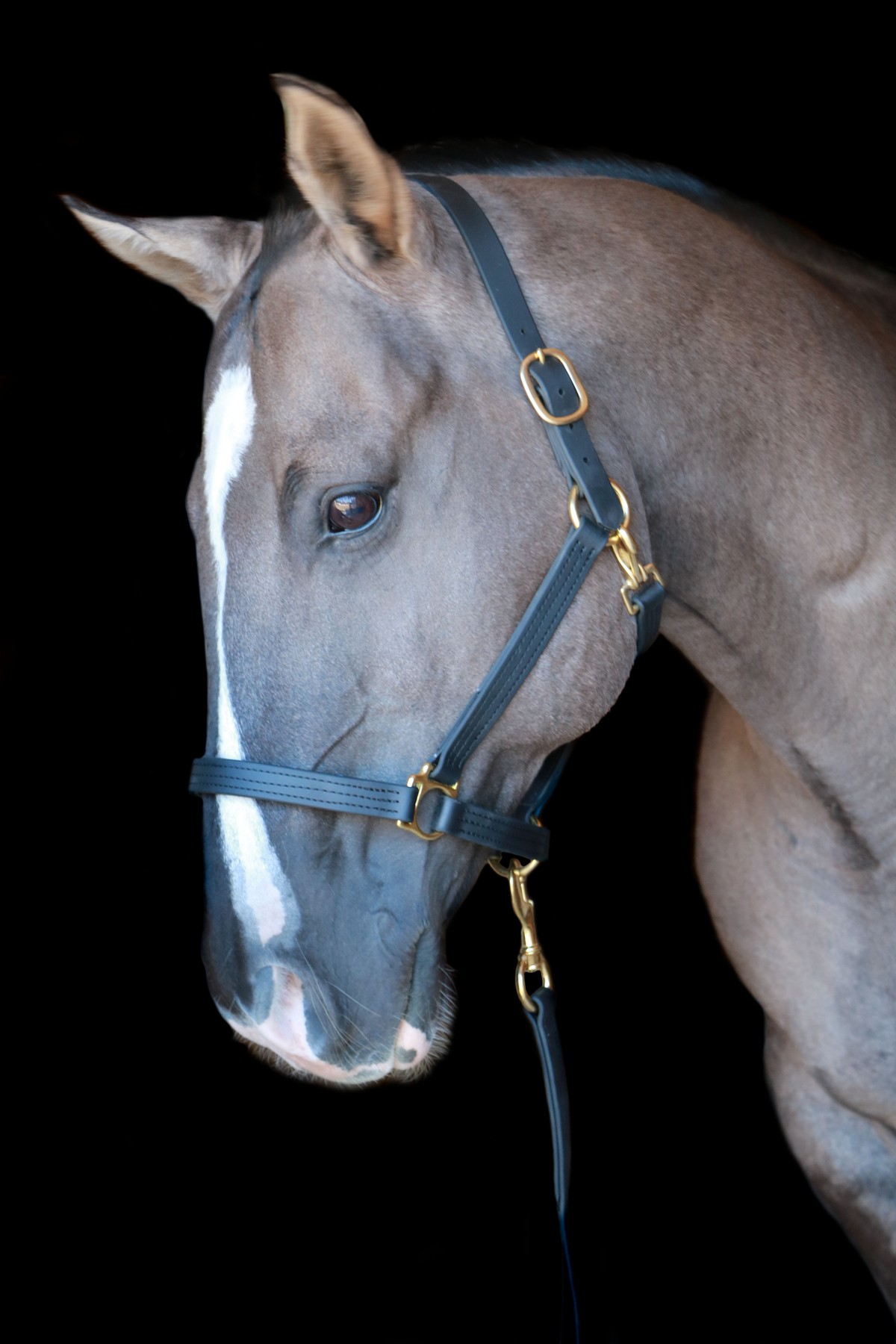 Silvabel Triple Stitched Halter