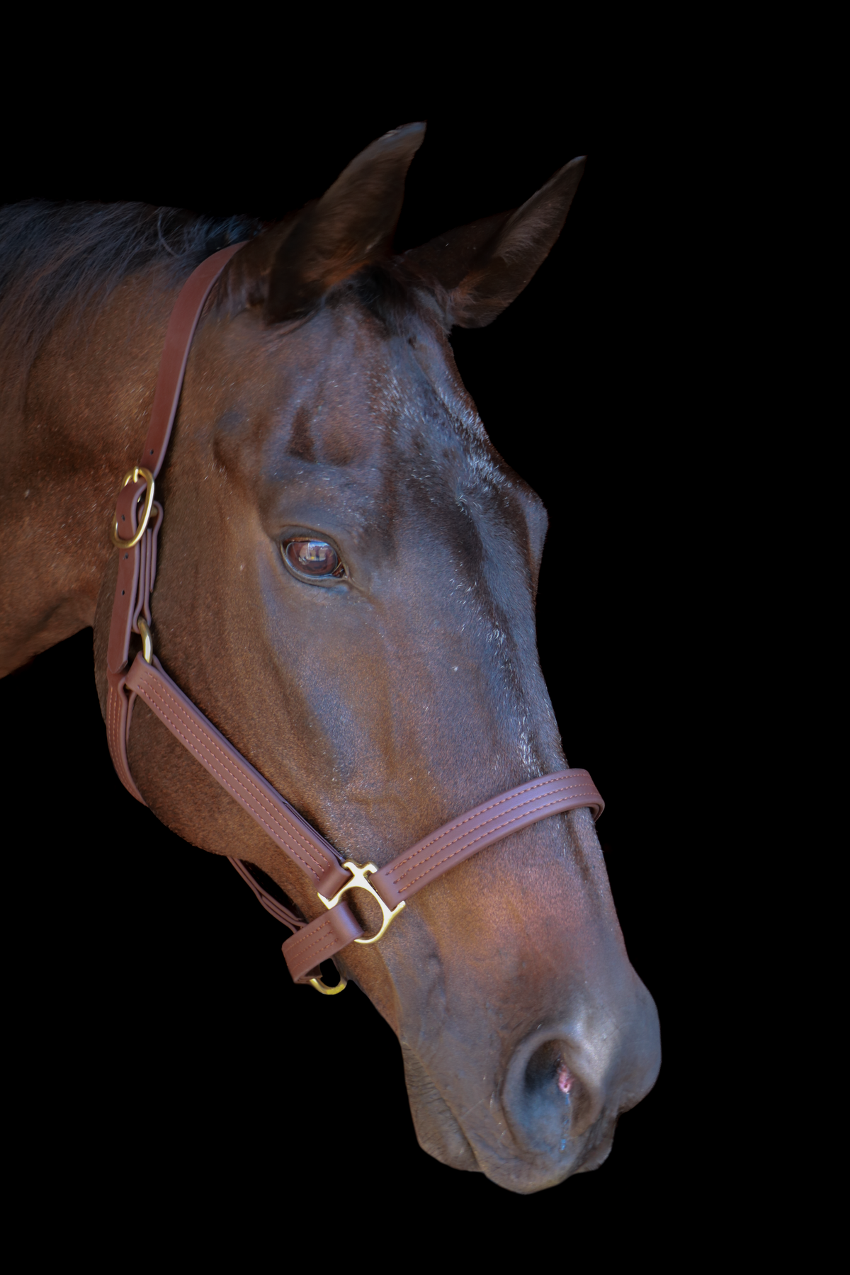 Silvabel Triple Stitched Halter
