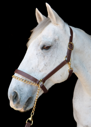 Silvabel Triple Stitched Halter