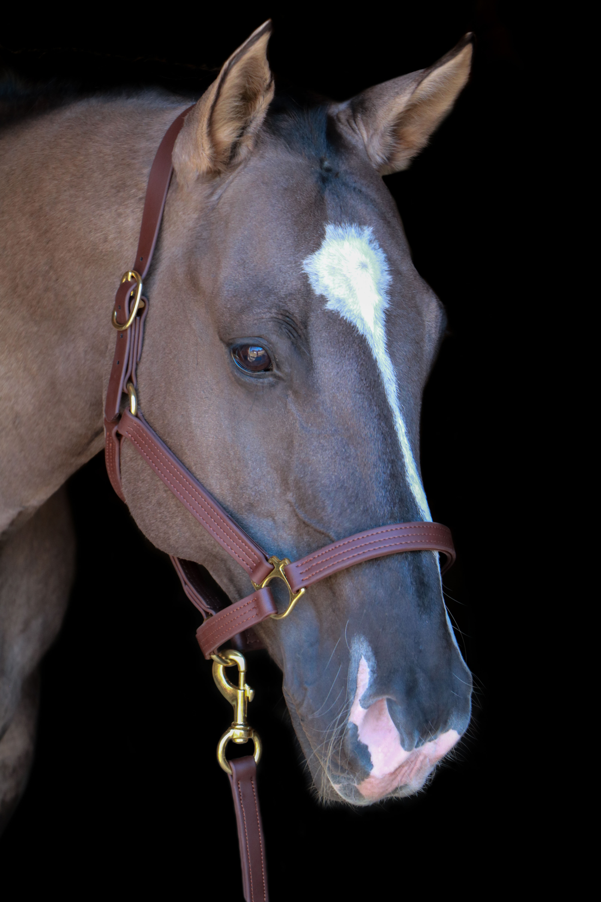 Silvabel Triple Stitched Halter